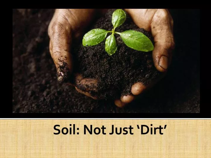 soil not just dirt