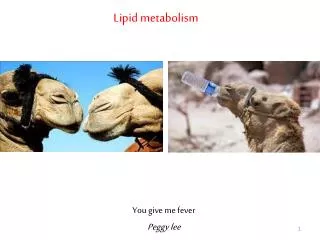 Lipid metabolism