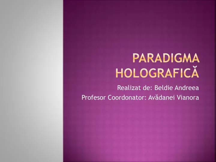 paradigma holografic
