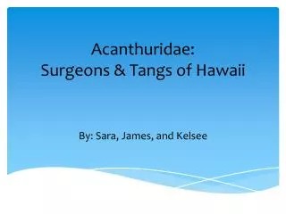 Acanthuridae: Surgeons &amp; Tangs of Hawaii