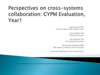 Perspectives on cross-systems collaboration: CYPM Evaluation, Year1