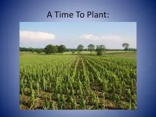 A Time To Plant: