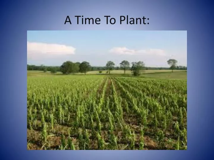a time to plant
