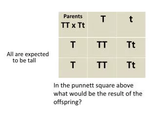 In the punnett square above what would be the result of the offspring?