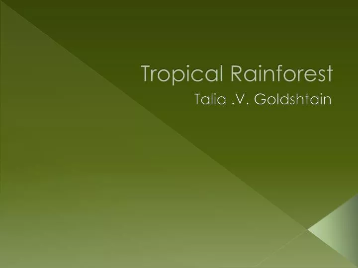 tropical rainforest