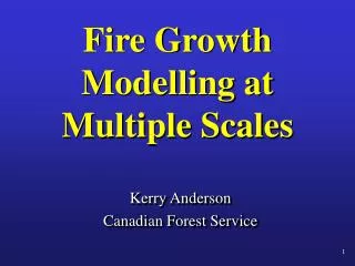 Fire Growth Modelling at Multiple Scales