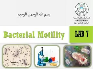 The ability of an organism to move by itself is called motility.