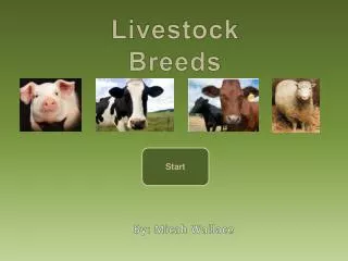 Livestock Breeds