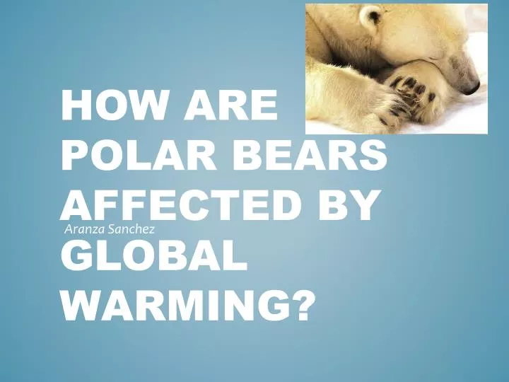 how are polar bears affected by global warming