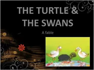 THE TURTLE &amp; THE SWAN