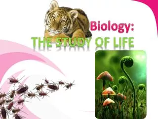biology