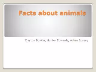 Facts about animals