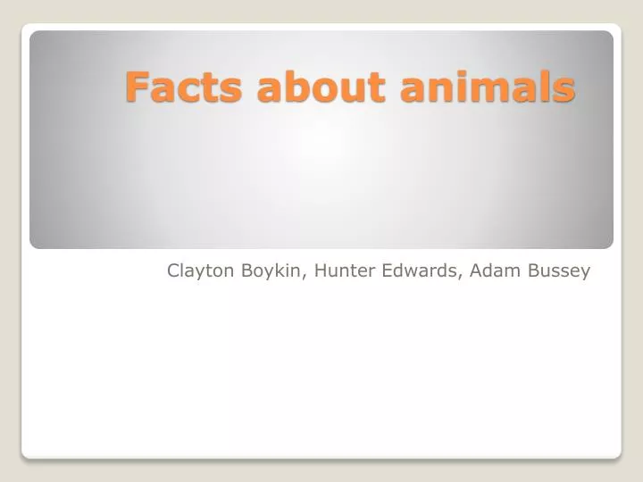 facts about animals
