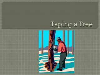 Taping a Tree