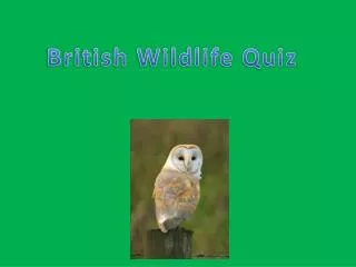 British Wildlife Quiz