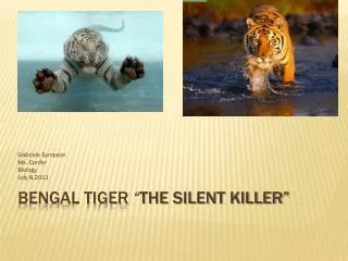 Bengal Tiger “ The silent killer”