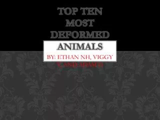 Top Ten M ost Deformed Animals