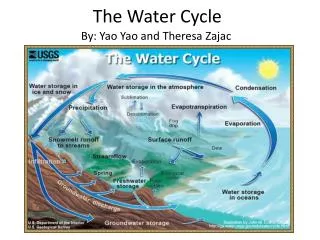 The Water Cycle