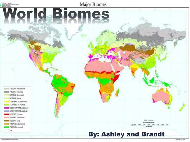 world biomes