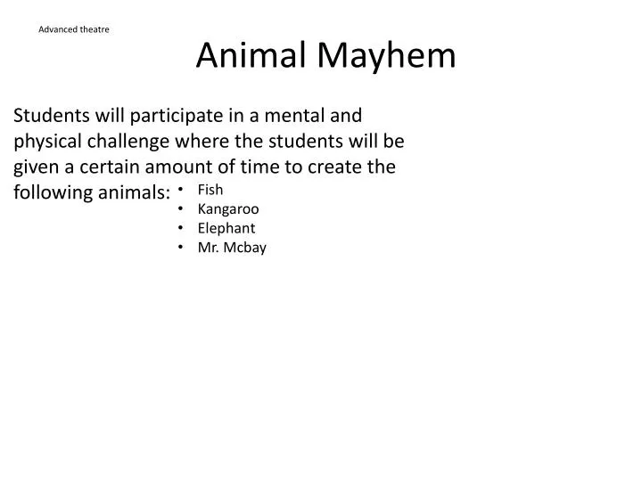 animal mayhem