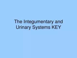 The Integumentary and Urinary Systems KEY