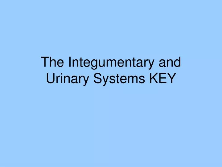 the integumentary and urinary systems key