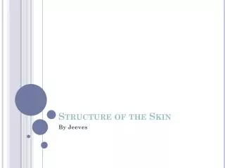 structure of the skin