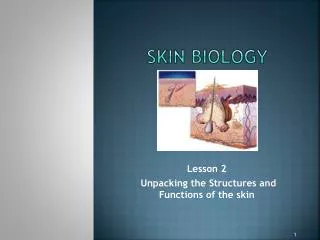 Skin Biology