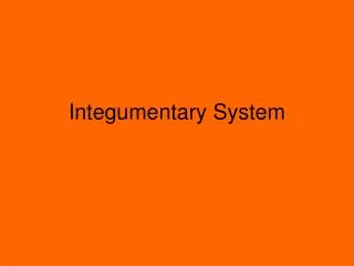 Integumentary System