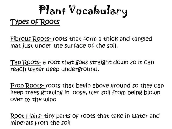 plant vocabulary