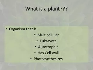 What is a plant???