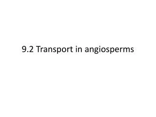 9.2 Transport in angiosperms