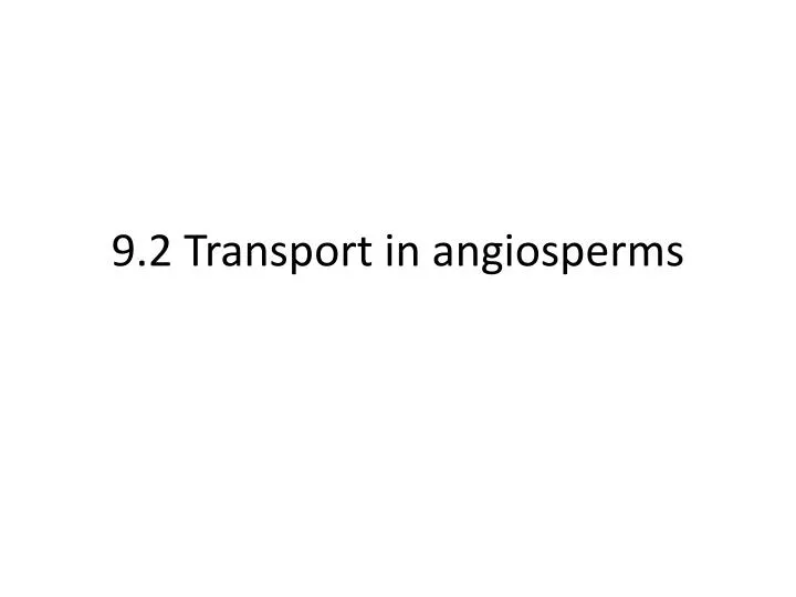 9 2 transport in angiosperms