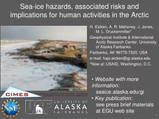 Sea-ice hazards, associated risks and implications for human activities in the Arctic