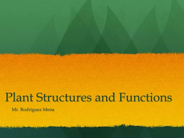 plant structures and functions