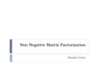 Non Negative Matrix Factorization