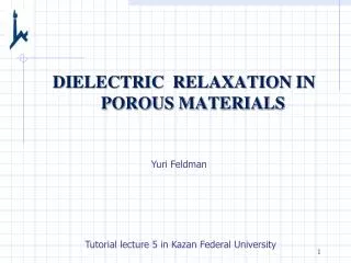 DIELECTRIC RELAXATION IN POROUS MATERIALS