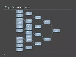 my family tree
