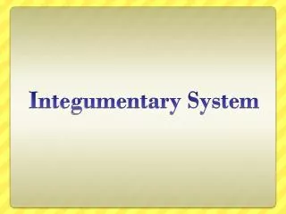 Integumentary System