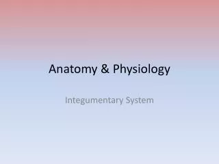 anatomy physiology
