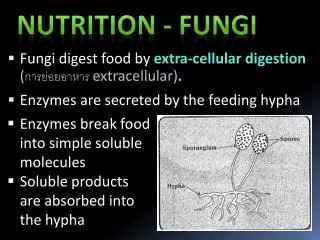 Fungi digest food by extra-cellular digestion ( ???????????? extracellular) .