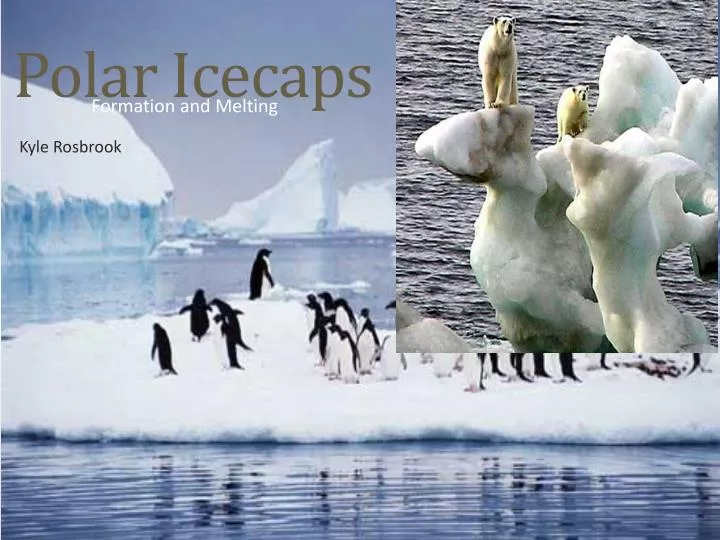 polar icecaps