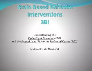 Brain Based Behavior Interventions 3BI