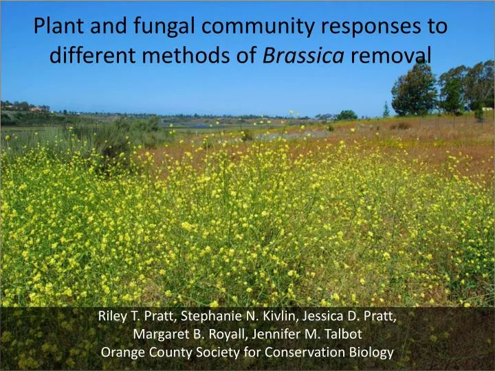 plant and fungal community responses to different methods of brassica removal