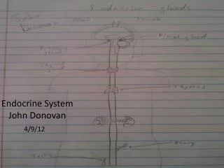 Endocrine System John Donovan
