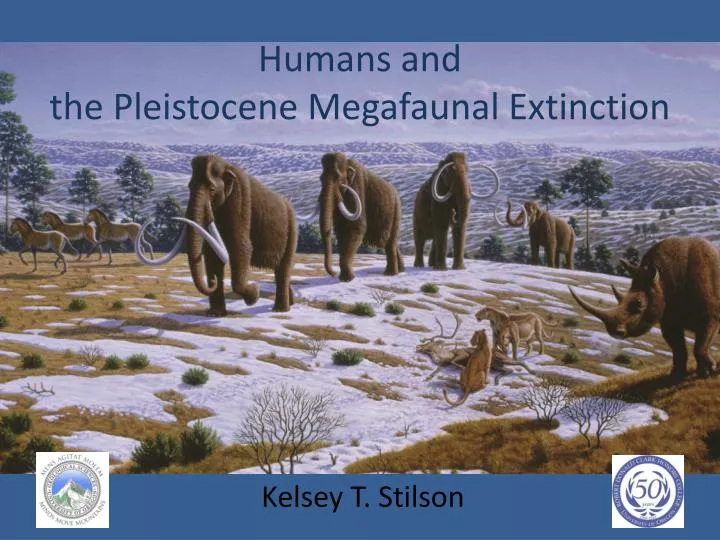 humans and the pleistocene megafaunal extinction