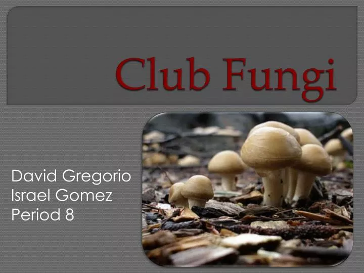 club fungi