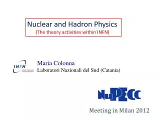 Nuclear and Hadron Physics (The theory activities within INFN)