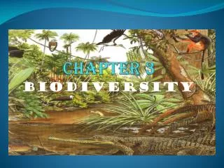 chapter 3