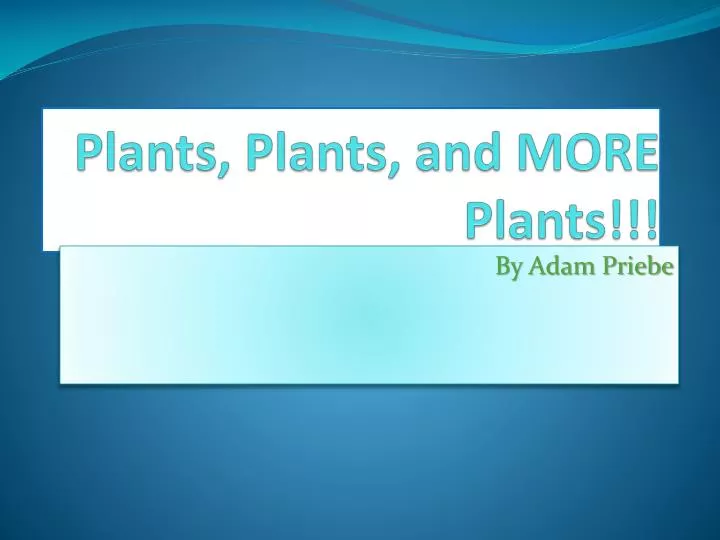 plants plants and more plants